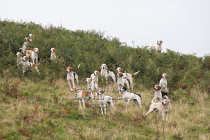 Hunting Images by Cumbrian Photographer Neil Salisbury Betty Fold Gallery